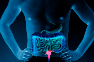 "Top 10 strategies for gut health optimization and digestive wellness"