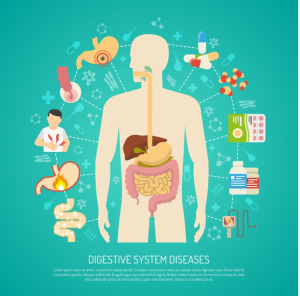 "Visual representation of lifestyle elements promoting digestive resilience"
