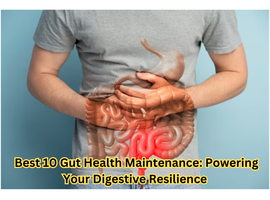 Best 10 Gut Health Maintenance: Powering Your Digestive Resilience